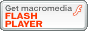 get flash player plugin
